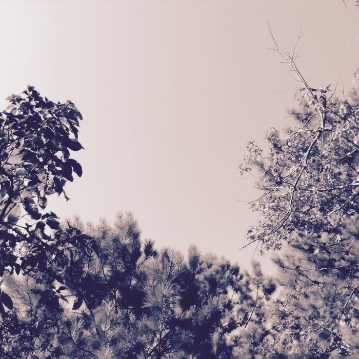 I Am 10 Years Old, And These Are Pictures That I Took