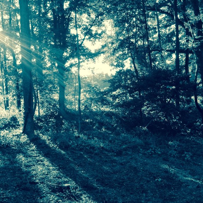 I Am 10 Years Old, And These Are Pictures That I Took