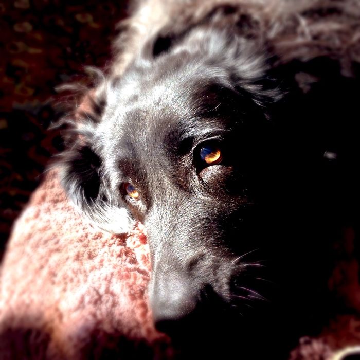 I Am 10 Years Old, And These Are Pictures That I Took