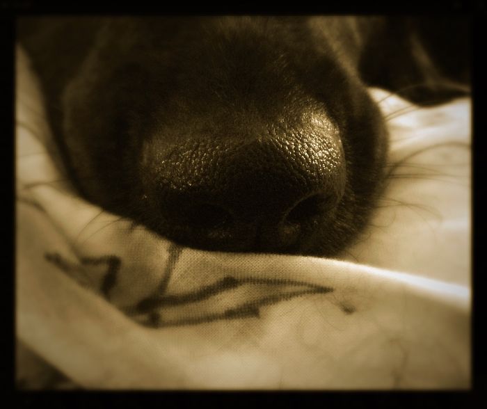 I Am 10 Years Old, And These Are Pictures That I Took