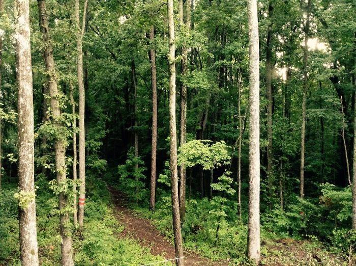 I Am 10 Years Old, And These Are Pictures That I Took