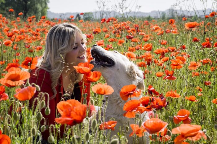 I Photograph The Beauty Of Happy Moments Between People And Their Pets I Photograph The Beauty Of Happy Moments Between People And Their Pets