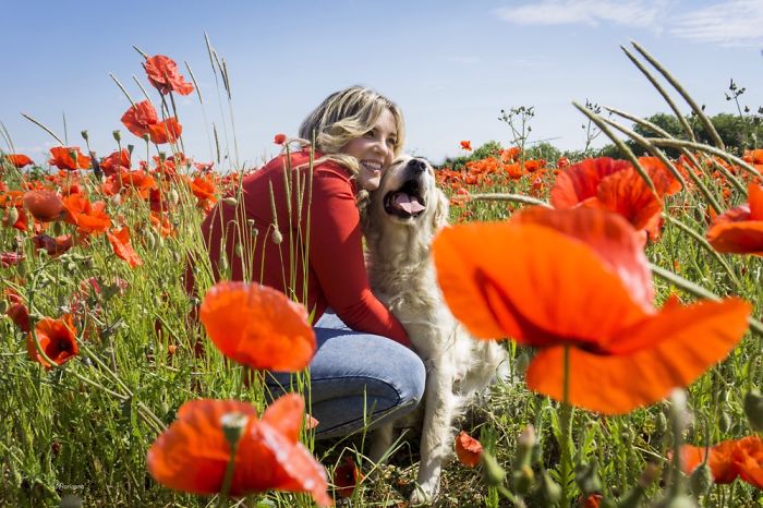 I Photograph The Beauty Of Happy Moments Between People And Their Pets I Photograph The Beauty Of Happy Moments Between People And Their Pets