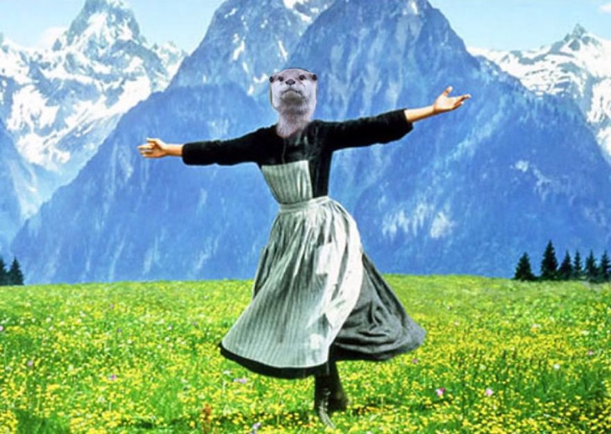 The Hills Otter Alive With The Sound Of Music....
