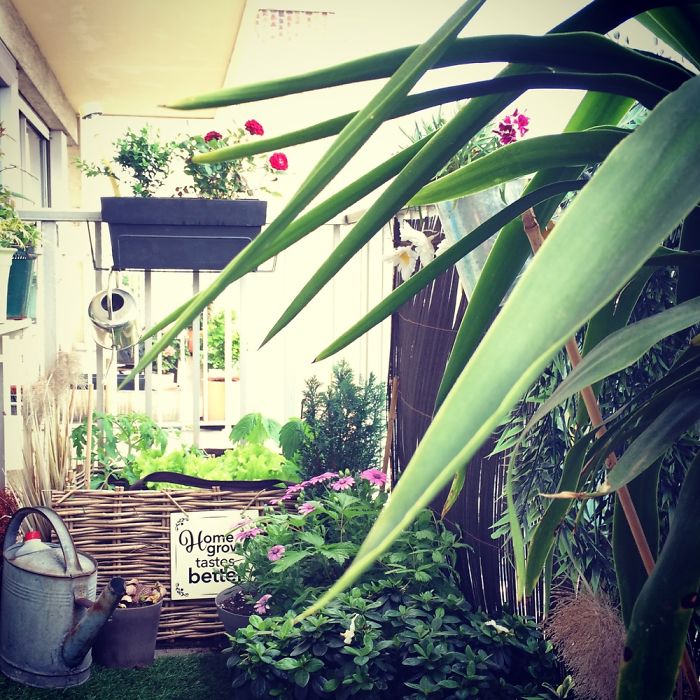 Almost Summer In Paris