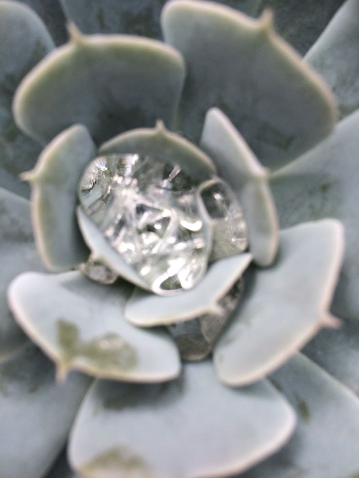 Camera Focused On The Water