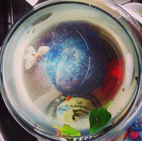 A Glass With A Floating Moth In My Sink