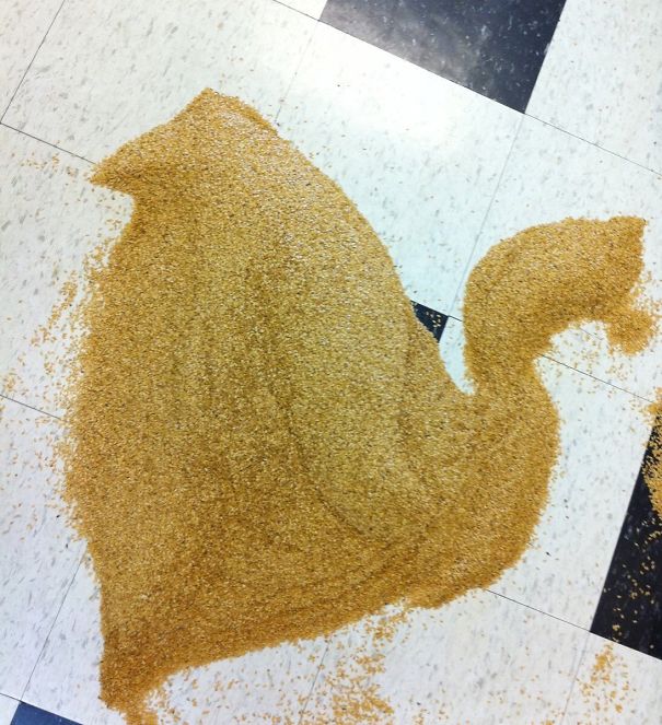 I Spilled The Flax Seeds Atwork And Was Too Chicken To Clean It Up.