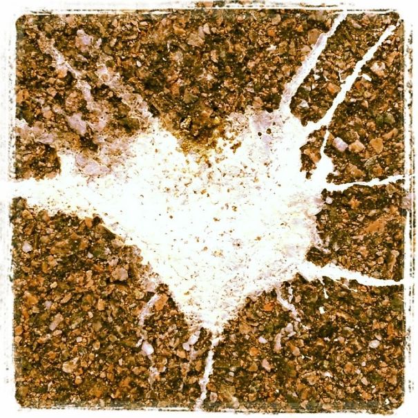 Bird Poo On The Sidewalk