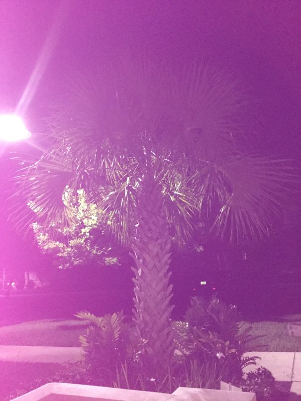 My Ipod Case Is Pink, And Covering Up Some Of My Flashlight. Took This Pic In The Dark And...