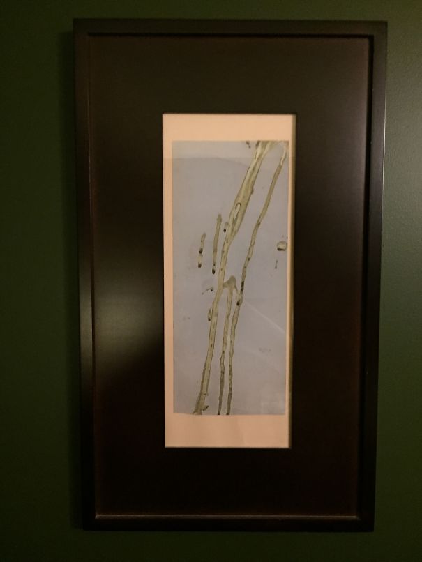 Worked At Walgreens, Found This In The Photo Trash, Took It Home And Got It Framed.