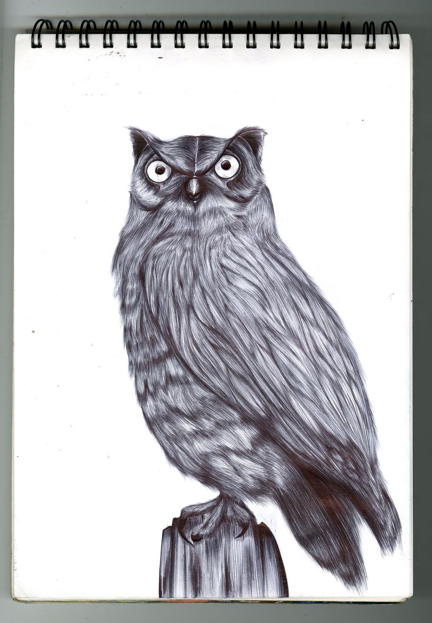 I Draw Detailed Animal Sketches Using Black Ball Point Pens