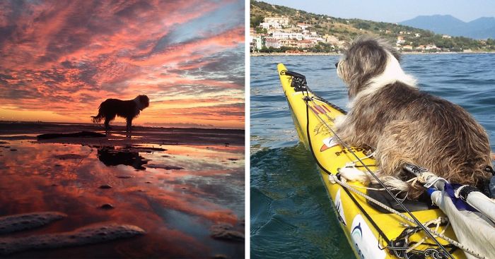 I Quit My Job To Kayak The Mediterranean Sea And Took A Dog (3 Years & 5000km So Far)