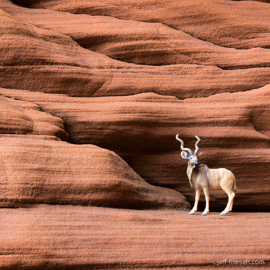 I Made These Photos To Raise Awareness About Human Threats To Wildlife I Made These Photos To Raise Awareness About Human Threats To Wildlife