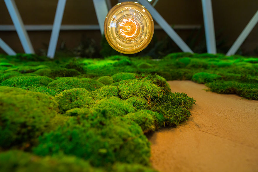 Moss At The Shift Pub In Downtown Bucharest