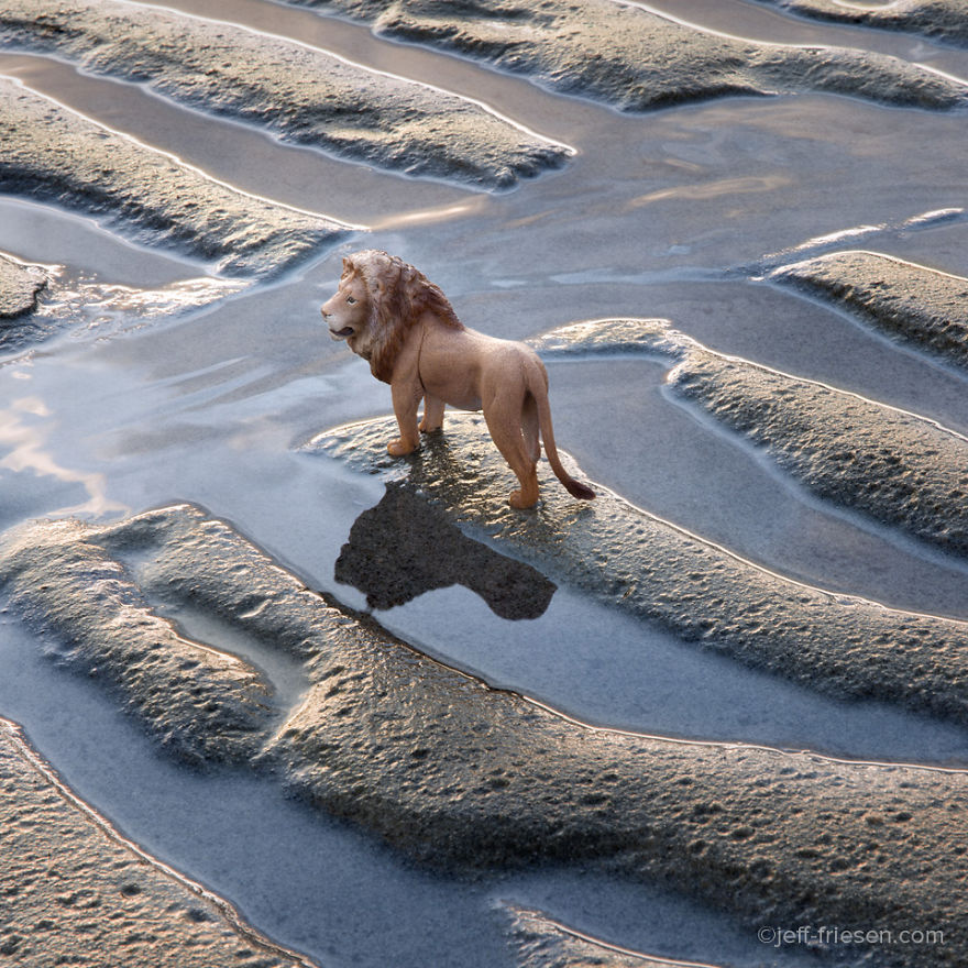 I Made These Photos To Raise Awareness About Human Threats To Wildlife I Made These Photos To Raise Awareness About Human Threats To Wildlife