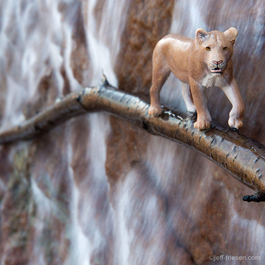 I Made These Photos To Raise Awareness About Human Threats To Wildlife I Made These Photos To Raise Awareness About Human Threats To Wildlife