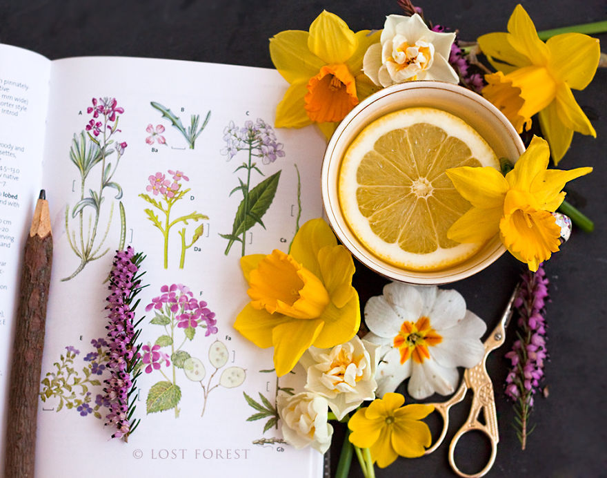 I Handpick Flowers From Irish Woodlands To Transform Them Into Beautiful Jewelry Pieces