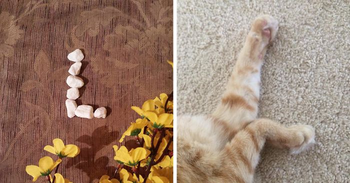 Challenge: Make The Letter “L” In Lots Of Different Ways