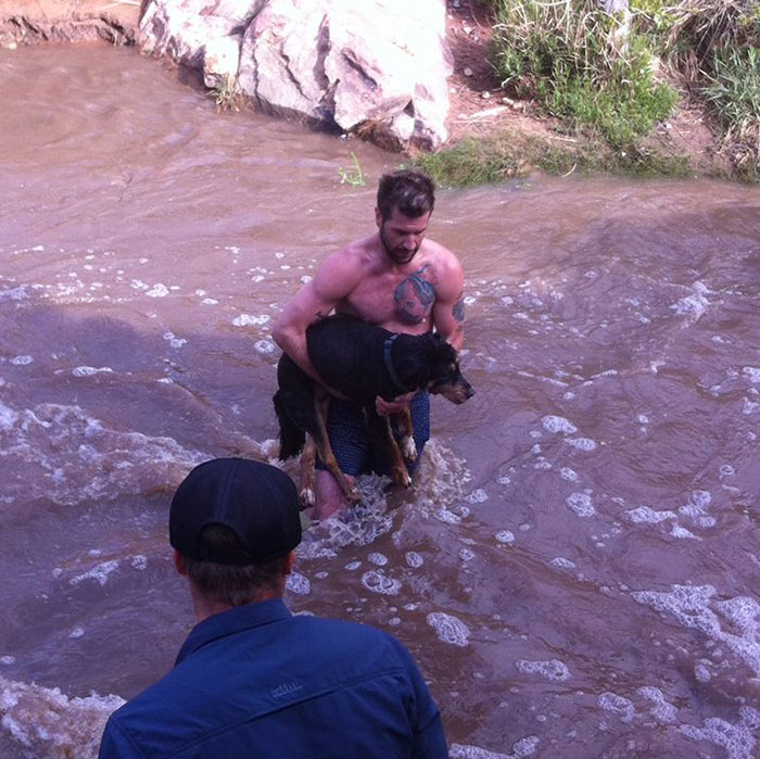 man-saves-dog-drowning-river-carli-4a man-saves-dog-drowning-river-carli-4a