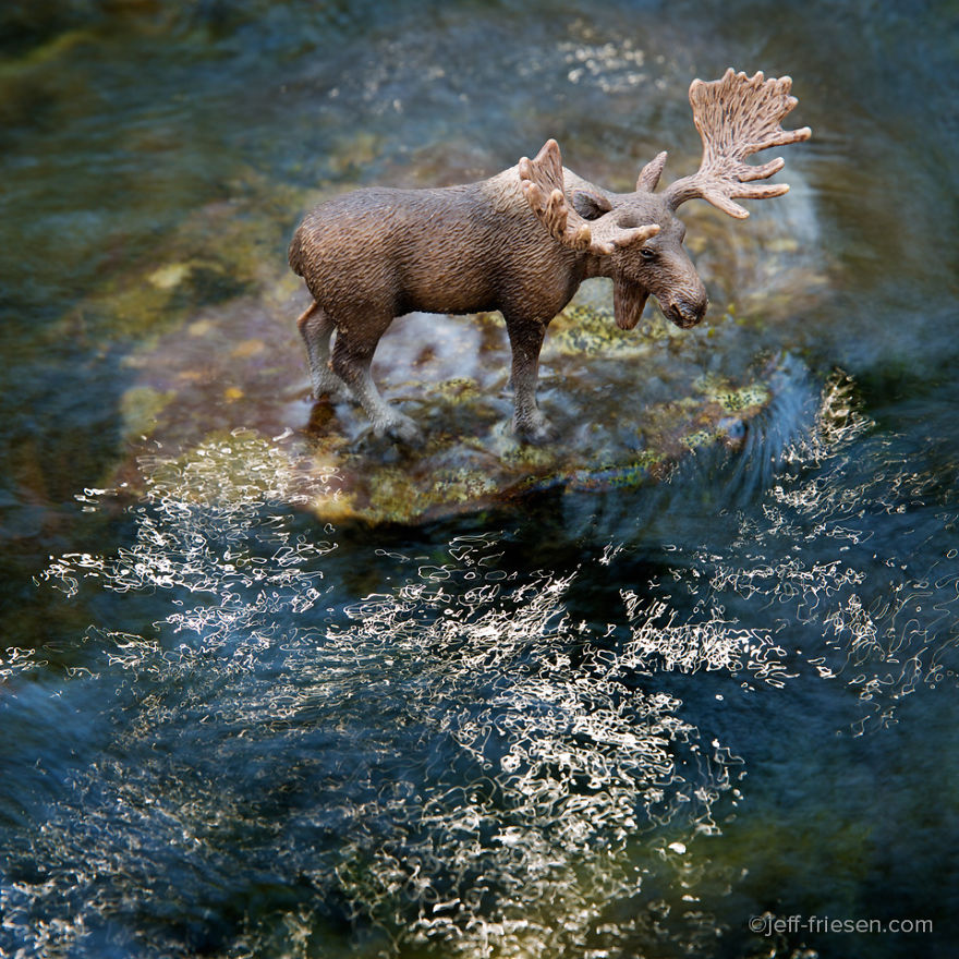 I Made These Photos To Raise Awareness About Human Threats To Wildlife I Made These Photos To Raise Awareness About Human Threats To Wildlife