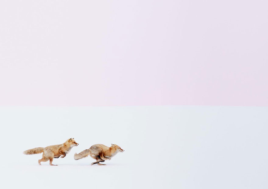 Wherever You Go, I Will Follow You, Japan