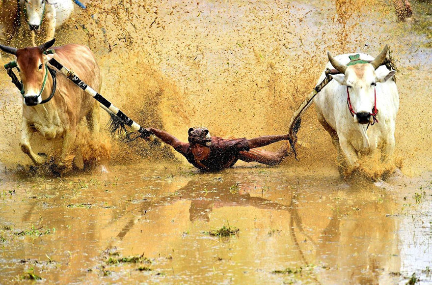 I Am Not Superman, Indonesia