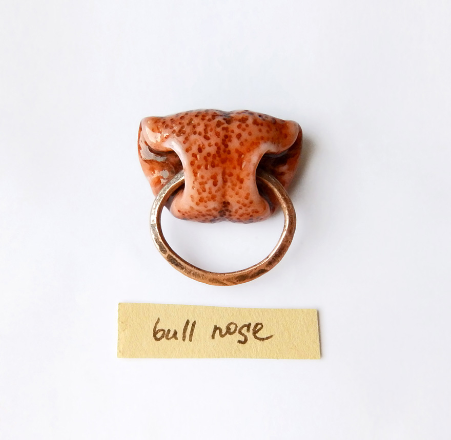 Animal Nose Jewelry That We Made For Pet Lovers Animal Nose Jewelry That We Made For Pet Lovers
