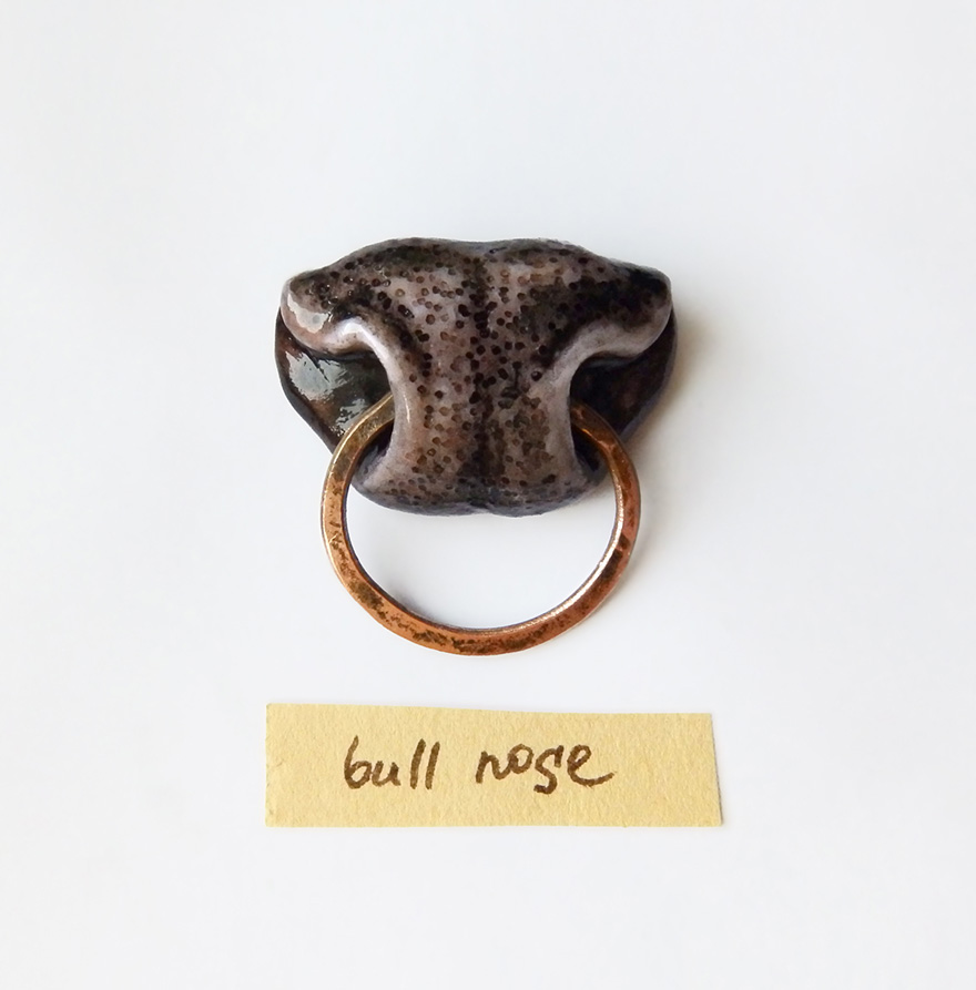 Animal Nose Jewelry That We Made For Pet Lovers