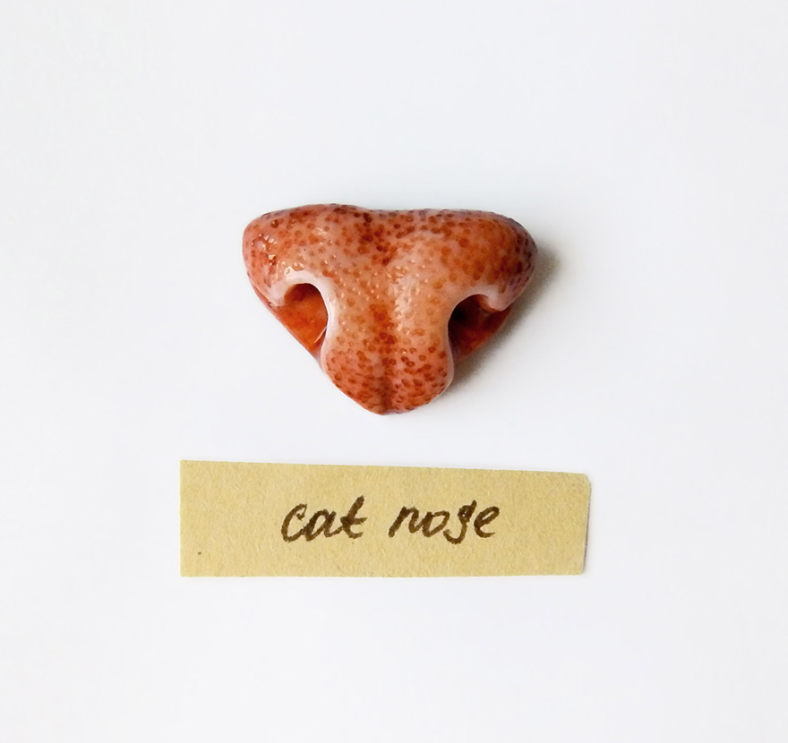 Animal Nose Jewelry That We Made For Pet Lovers