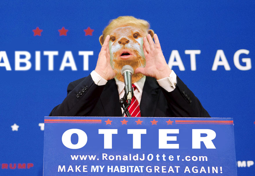 Make My Habitat Great Again