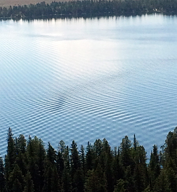 Rippling water creates perfect patterns, reflecting a tranquil scene that satisfies a perfectionist's soul.