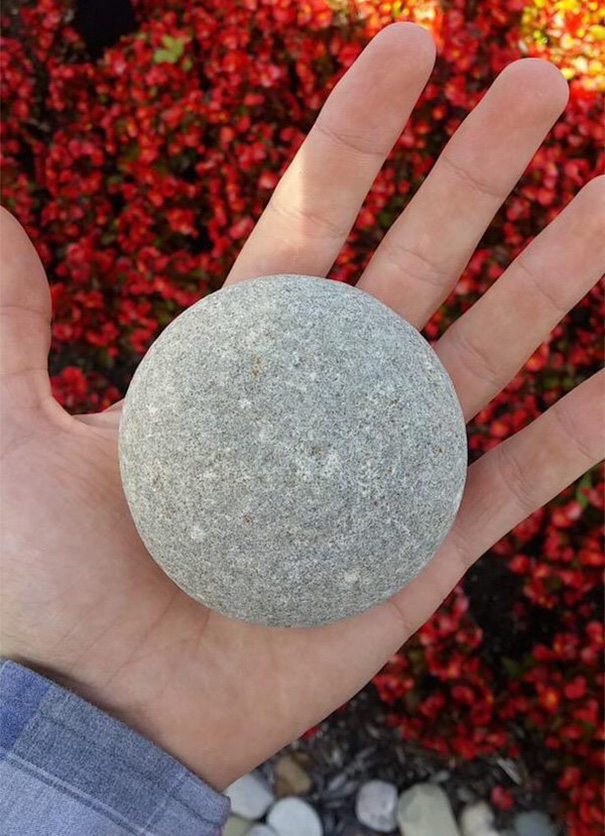 Hand holding a perfectly round stone, with a background of vibrant red flowers, satisfying every perfectionist’s soul.