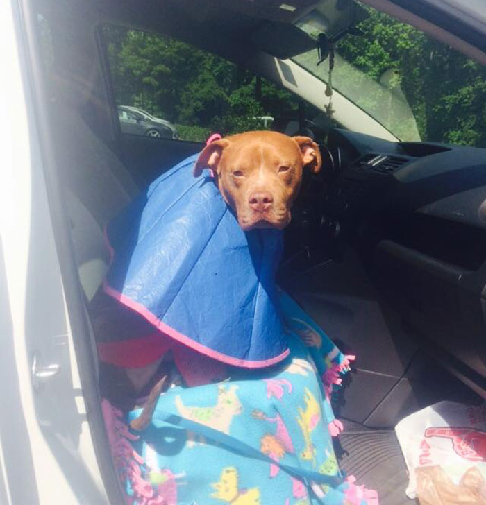 old-photos-vintage-war-couples-love-romance10