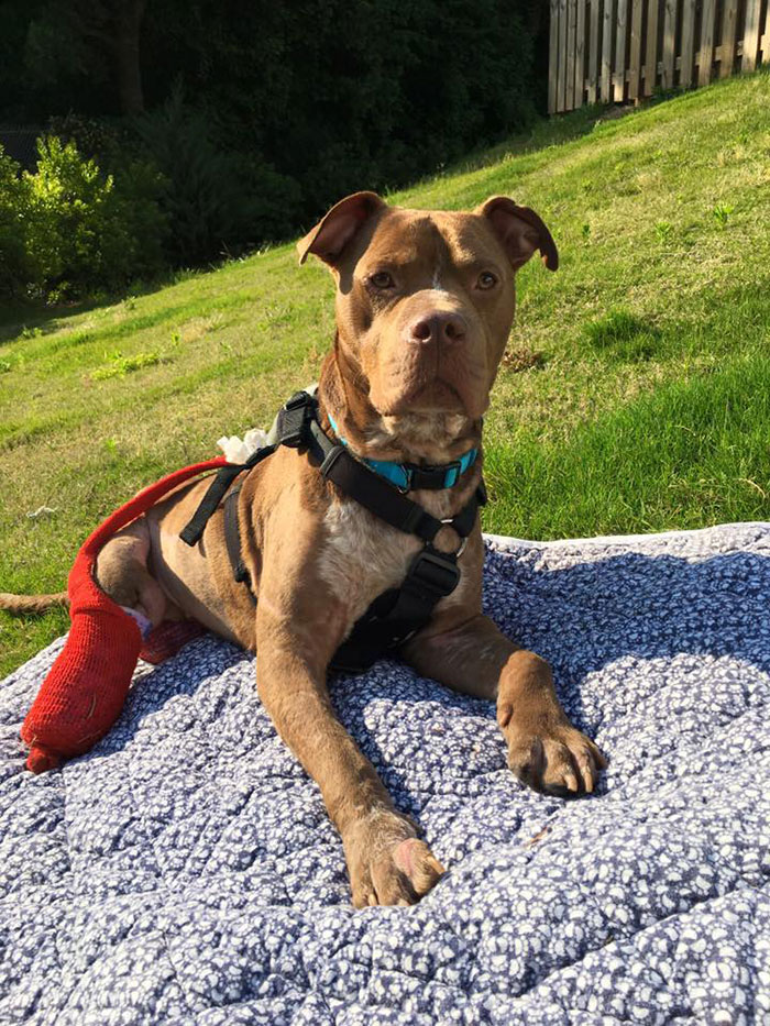 old-photos-vintage-war-couples-love-romance14