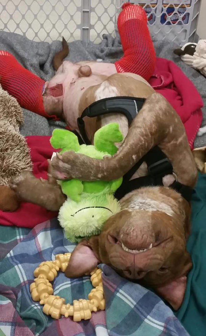 old-photos-vintage-war-couples-love-romance16