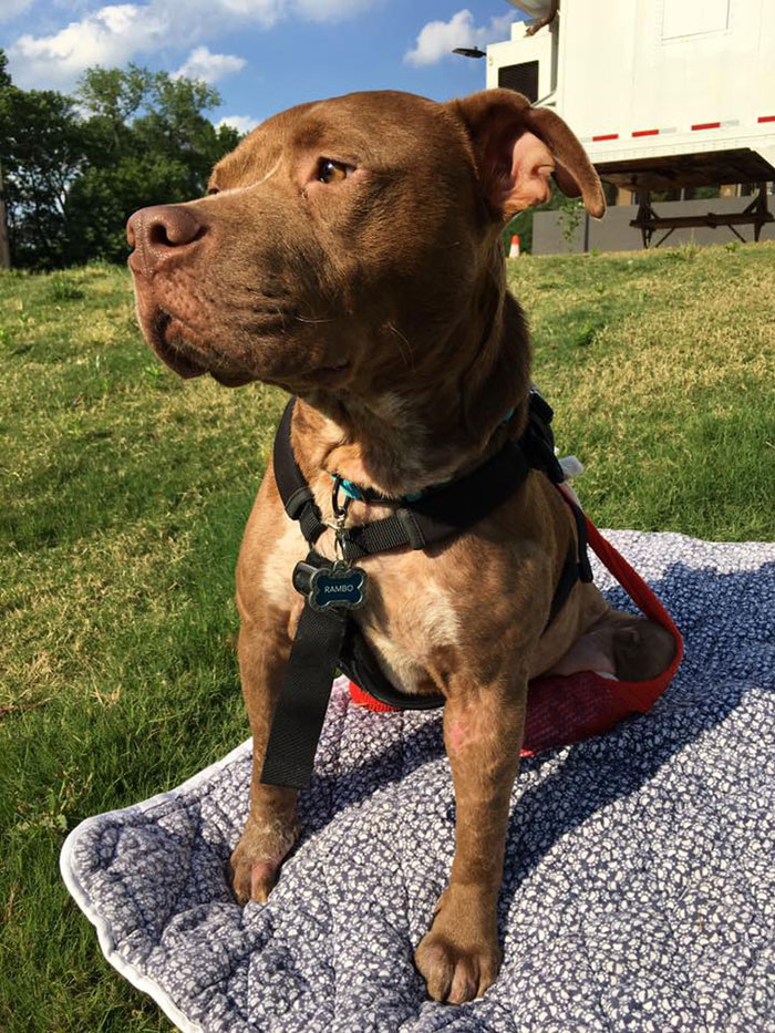 old-photos-vintage-war-couples-love-romance19