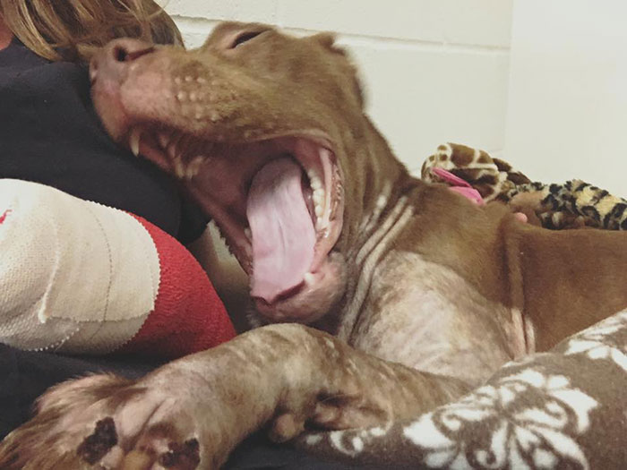 old-photos-vintage-war-couples-love-romance2