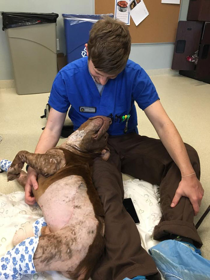 old-photos-vintage-war-couples-love-romance21