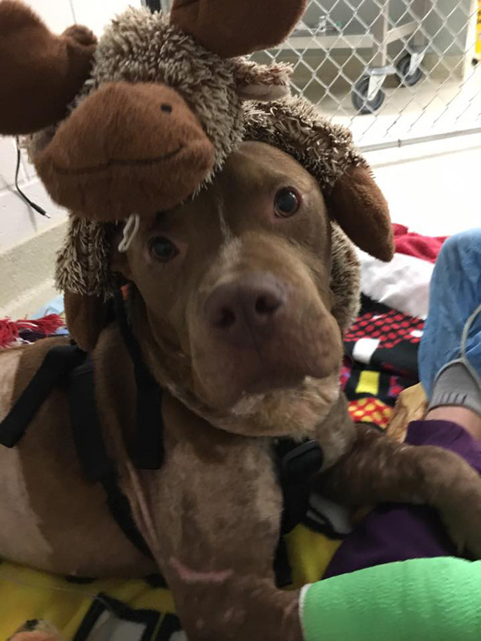 old-photos-vintage-war-couples-love-romance24