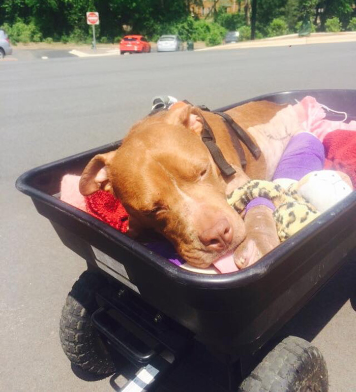 old-photos-vintage-war-couples-love-romance28