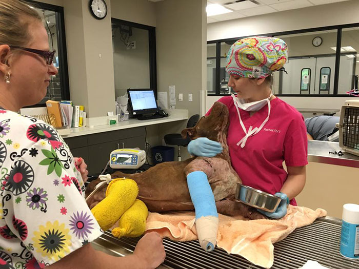 old-photos-vintage-war-couples-love-romance35