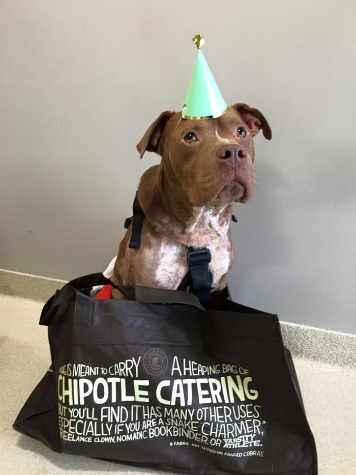 old-photos-vintage-war-couples-love-romance6