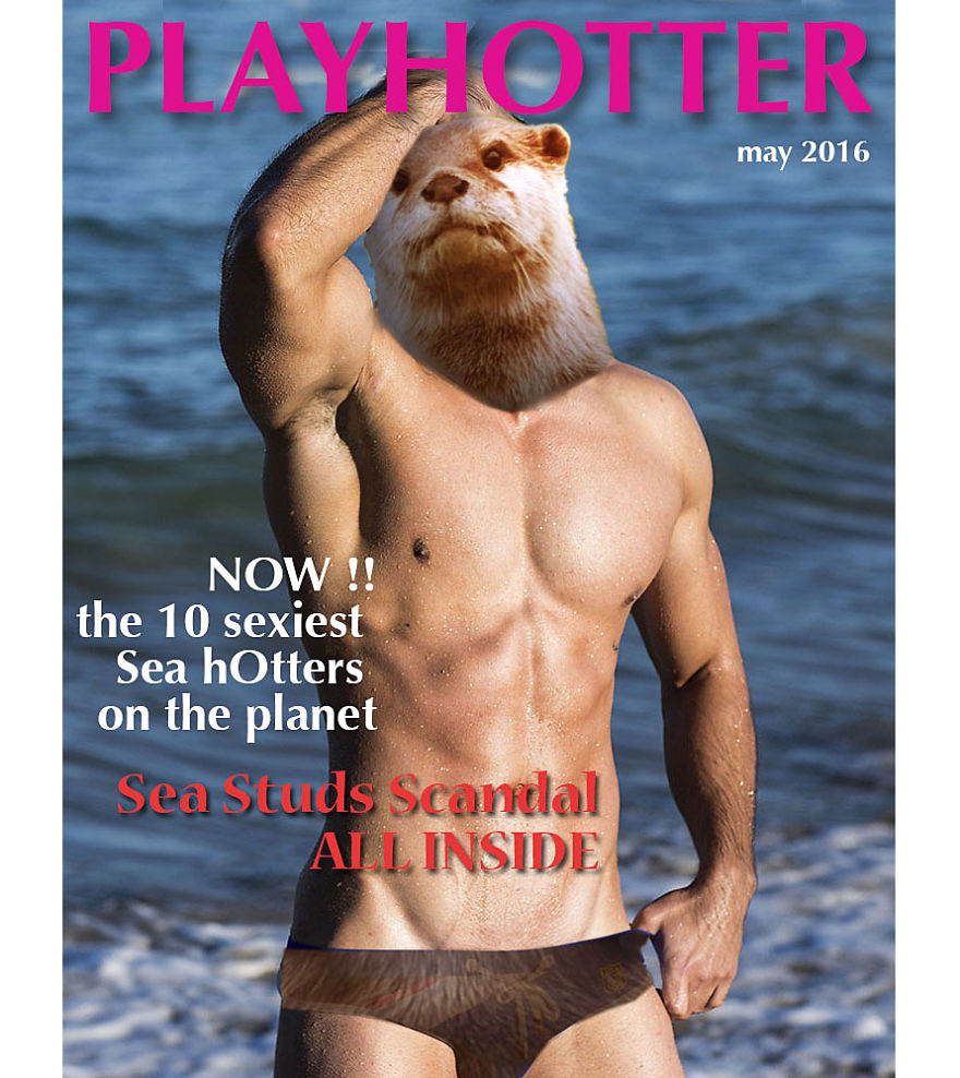Hot Hot Otter