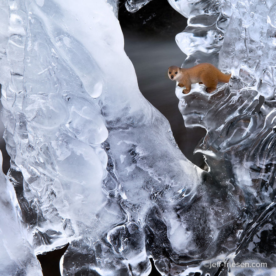 I Made These Photos To Raise Awareness About Human Threats To Wildlife I Made These Photos To Raise Awareness About Human Threats To Wildlife