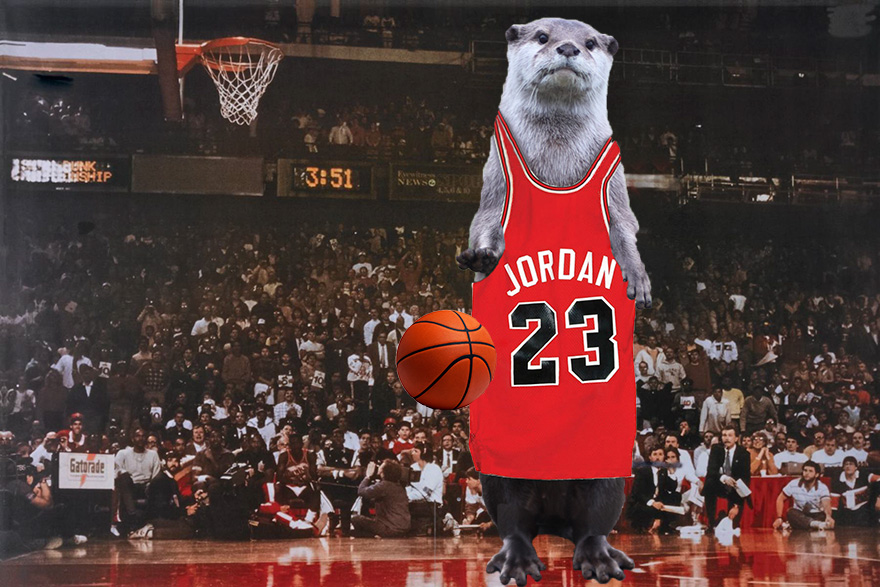 Otter Jordan