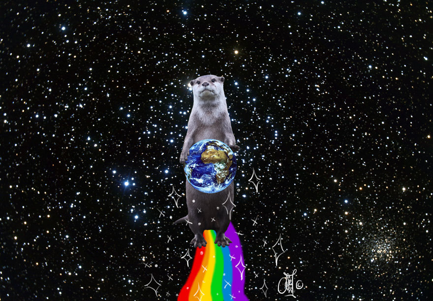 Nyan-otter By Genmaycha / Y0k0z