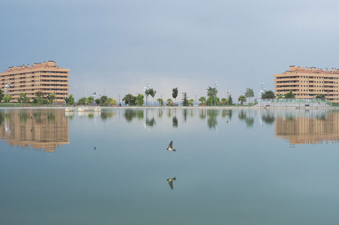 Perfectly Timed Photos