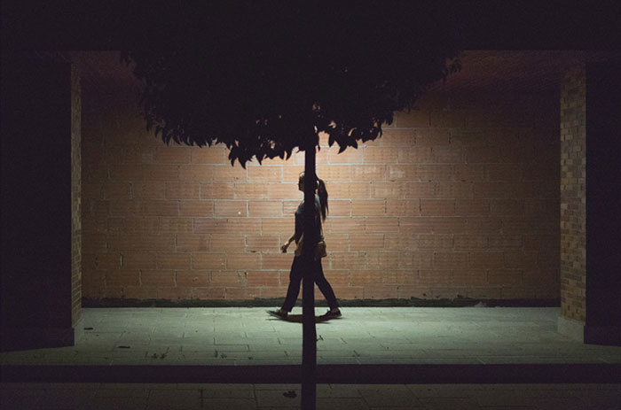 Perfectly Timed Photos