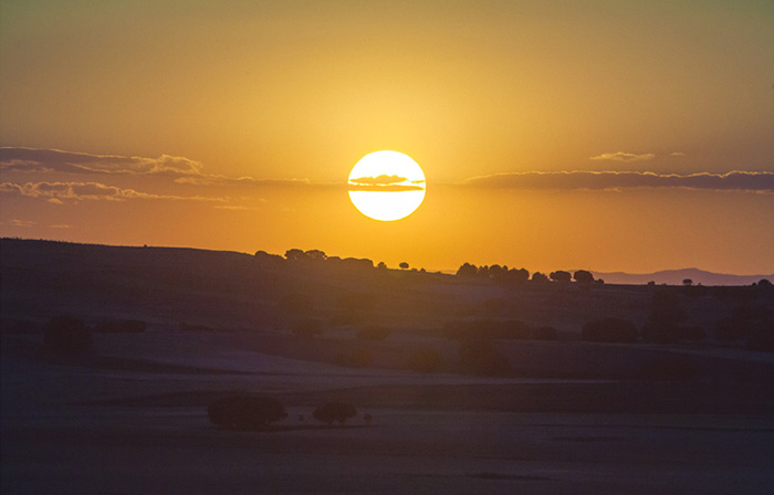 Perfectly Timed Photos